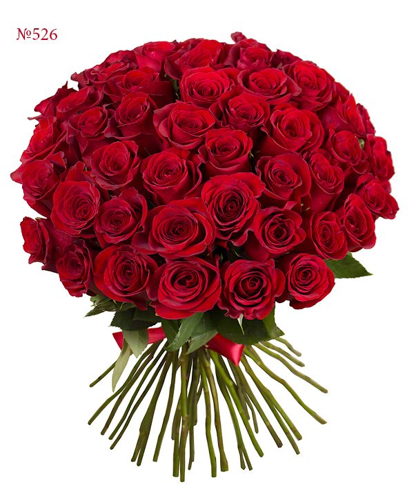 Купиь 51 розу Кения 45 см
