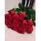 Купить 25 красных роз Эквадор 60 см