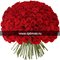 Купить 101 розу Эквадор 40 см