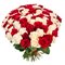 Купить 101 розу Эквадор 40 см