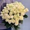 Купить 41 белую розу Эквадор
