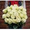 Купить 25 белых роз Эквадор 50 см
