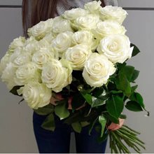 Букет 25 белых роз Эквадор 70 см