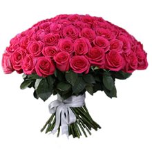 Купить 151 розу Эквадор 60 см